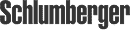 Trusted by top companies